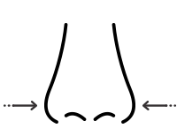 小鼻縮小術（鼻翼縮小）