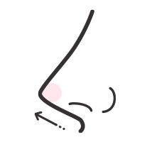 鼻先軟骨移植（鼻尖耳介軟骨移植）